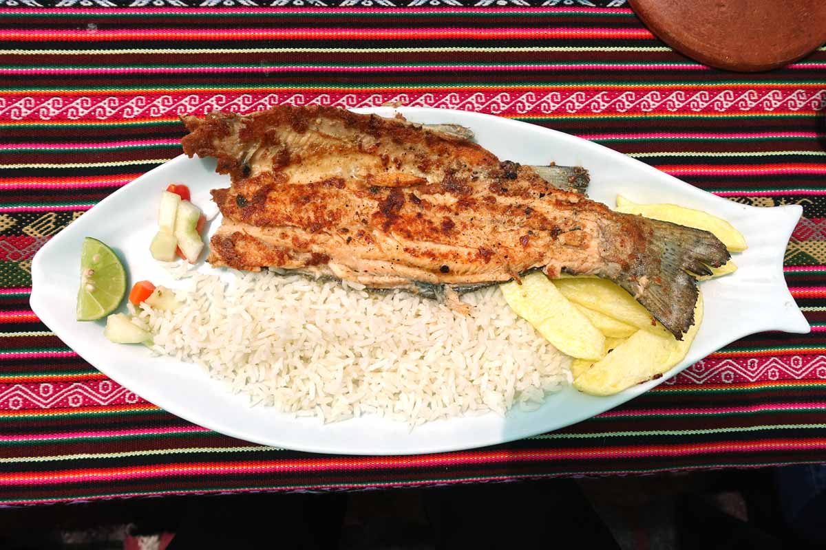 Fried trout on a trout shaped plate with white rice and french fries.